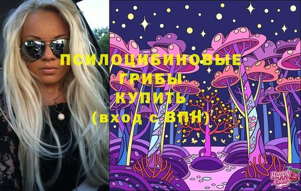 Альфа ПВП Богородск