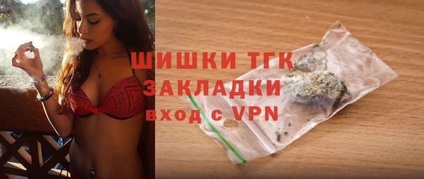 шишки Белокуриха