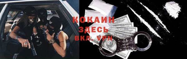 apvp Богородицк