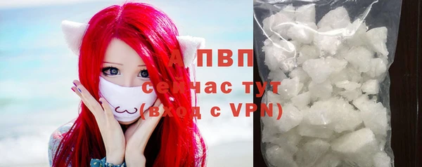 бошки Богданович
