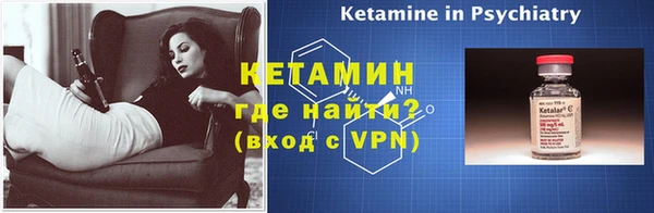 шишки Белокуриха