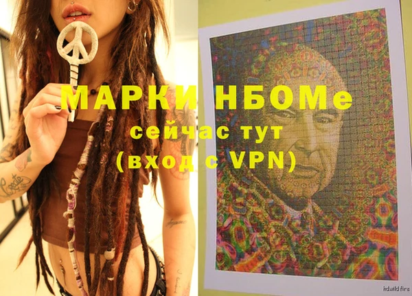 шишки Белокуриха