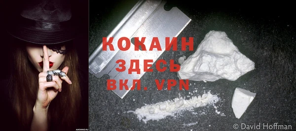 бошки Богданович